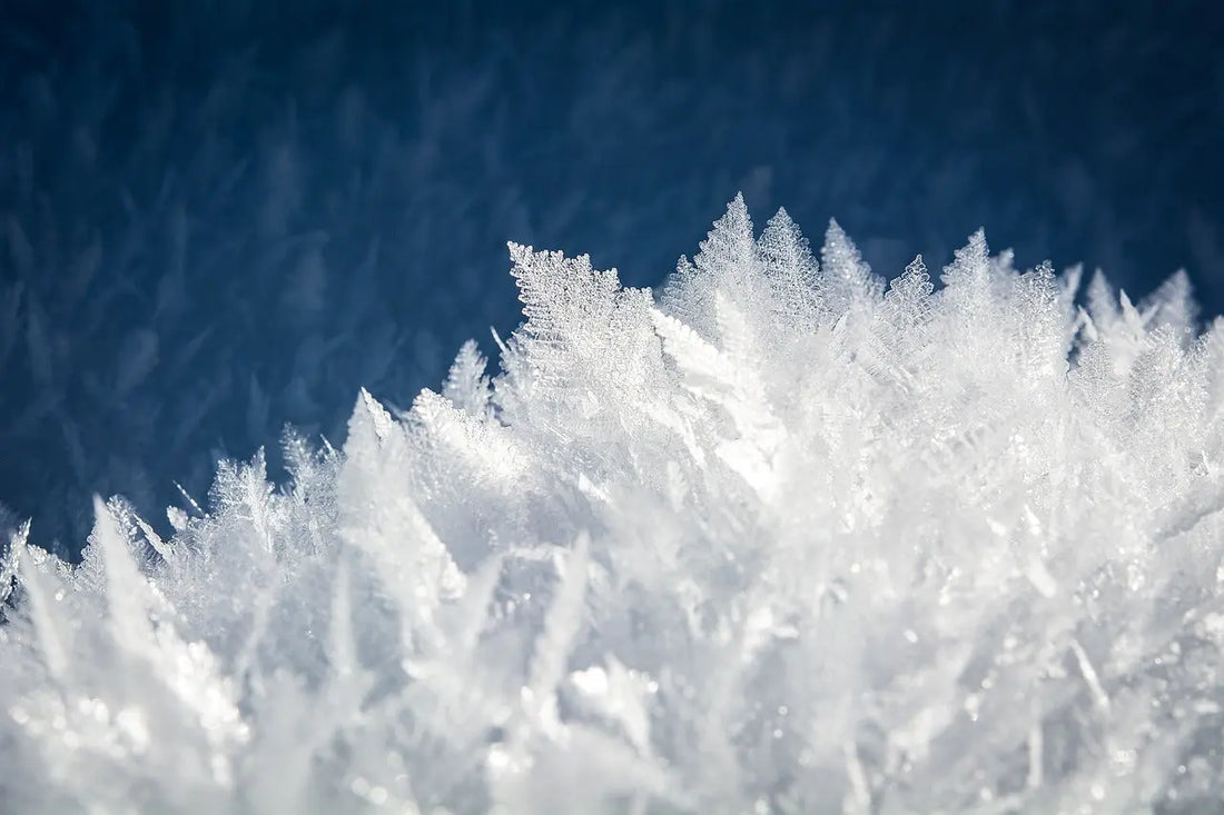 Los mejores perfumes de invierno
